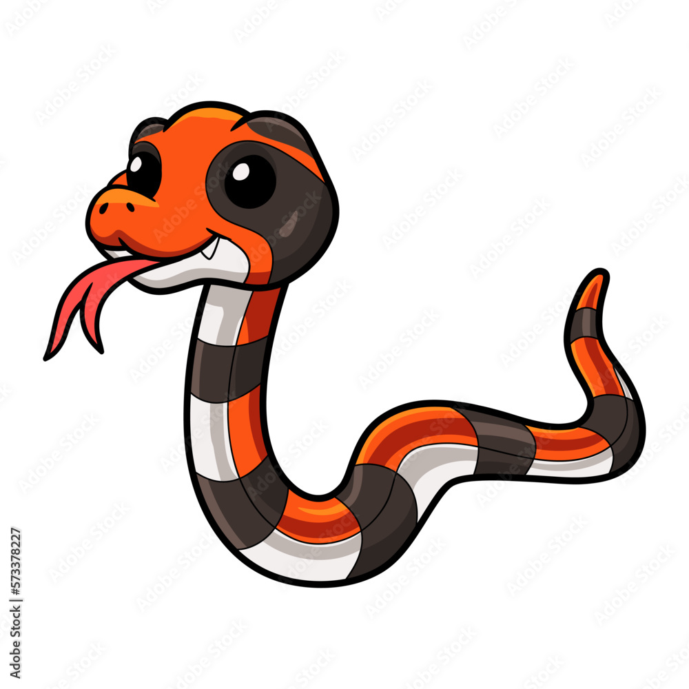 Fototapeta premium Cute cape coral snake cartoon
