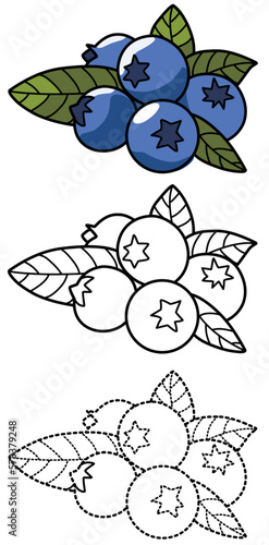 Blueberries coloring page for kids