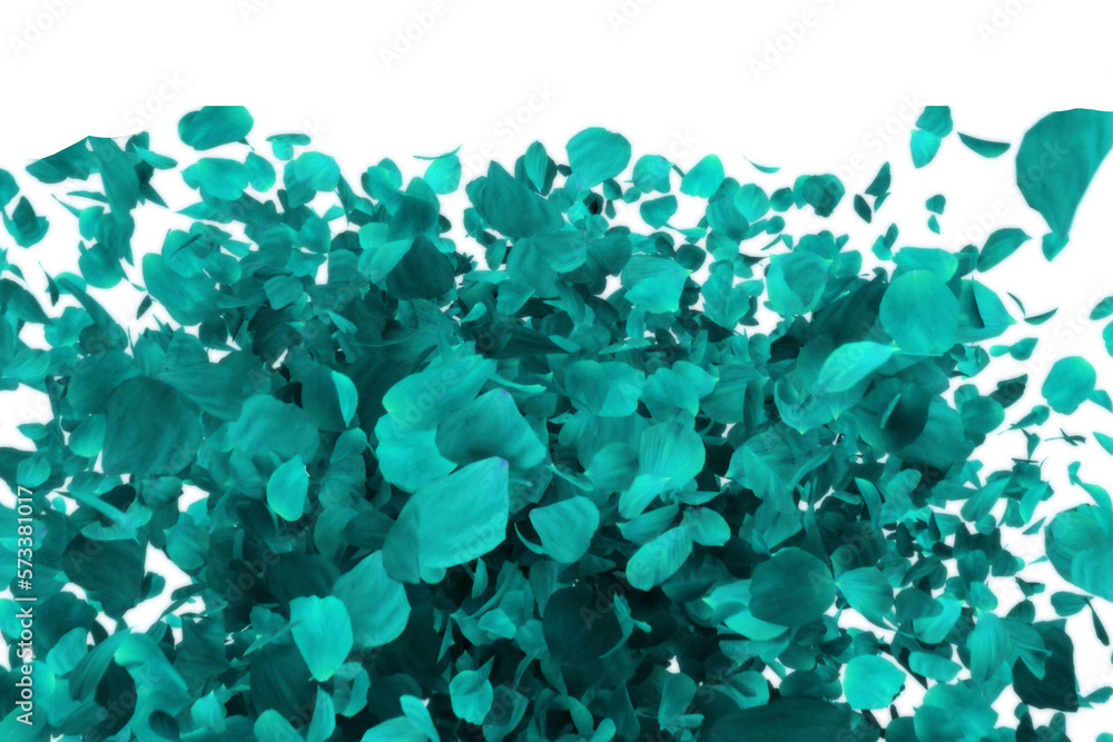 Backdrop of light blue rose petals isolated on a transparent white