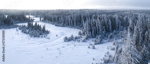 Aerial view of a winter forest scene with snow covered spruce trees and a large snow covered meadow. 