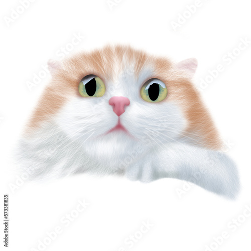 Obraz na plátně red persian cat ragamuffin kitten
