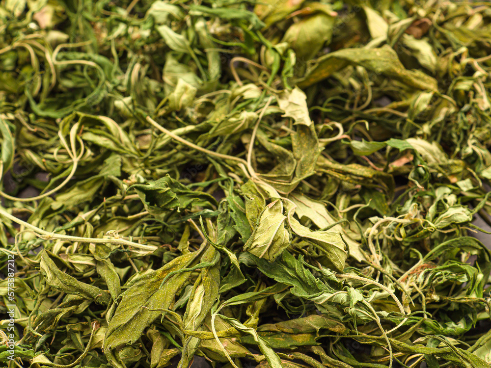 Top view of dry cannabis leaf tea. Textured marijuana leaves