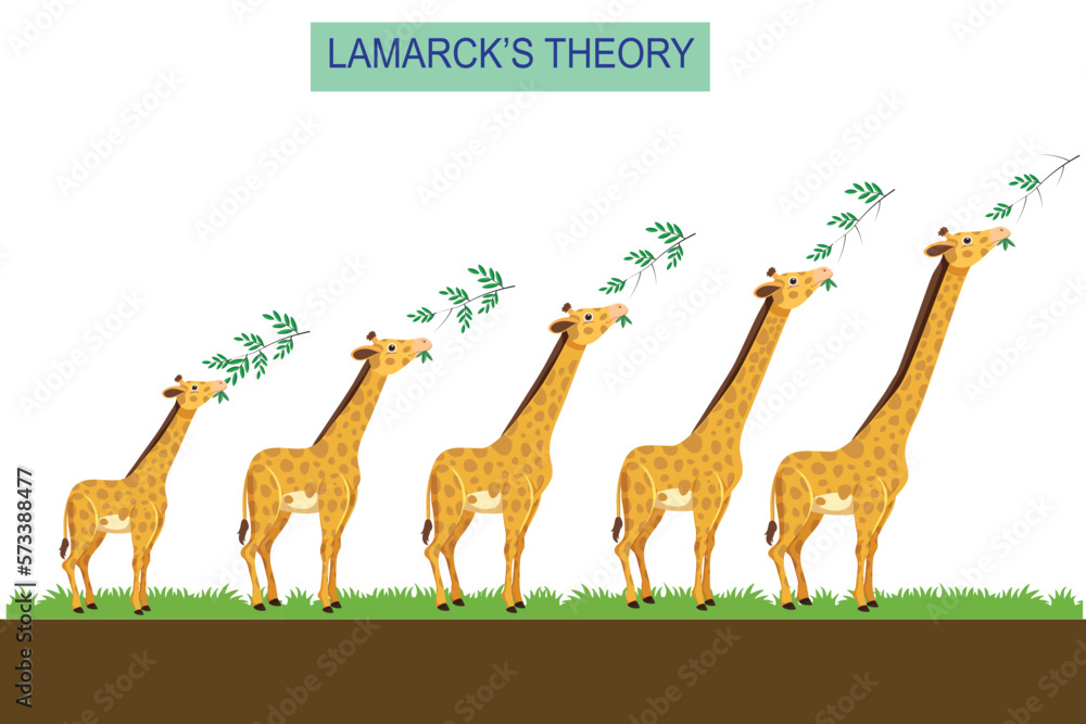 Vektorová grafika „Lamarckism, a theory of evolution based on the