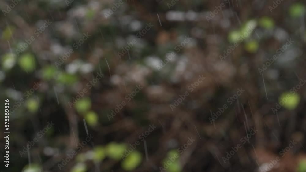 Falling Snow Flakes During Winter In Seamless Loop. closeup Falling Snow Flakes During Winter In Seamless Loop. closeup