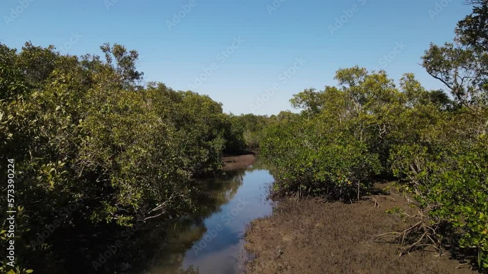 Winding view through a protected mangrove ecosystem and conservation wetland for a marine habitat survey. Drone view Winding view through a protected mangrove ecosystem and conservation wetland for a marine habitat survey. Drone view