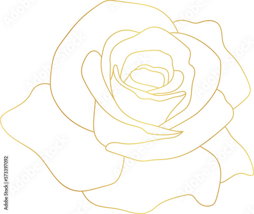 Rose flower gold line art