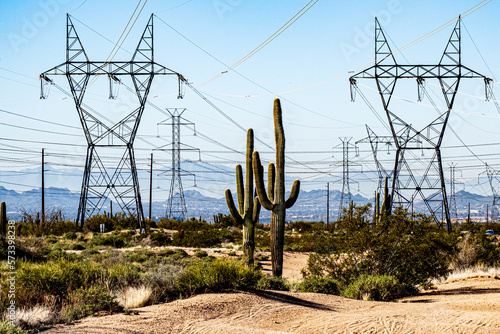 Power line transmission towers surround the saguaros in the desert in Scottsdale