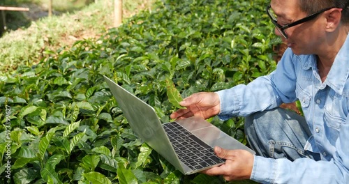 Smart farmer using laptop in eco green farm sustainable quality control. Close up Hand typing laptop computer quality control plant tree. Farmer hands using technology in eco Farmland biotechnology