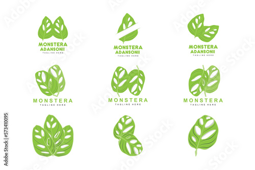 Monstera adansonii Leaf Logo  Green Plant Vector  Tree Vector  Rare Leaf Illustration