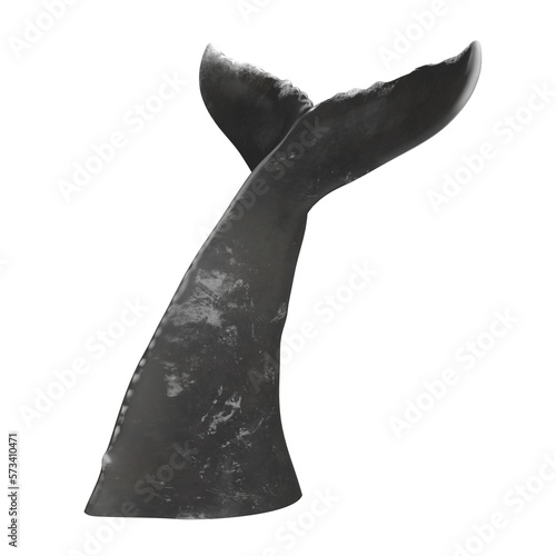 A tail of humpback whale isolated. PNG transparency