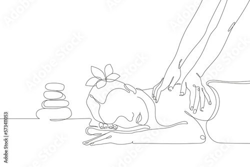 One line vector illustration for a spa salon. The master massages the back of the girl. Editable stroke