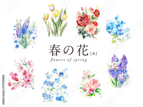 春の花の水彩イラスト8種Aセット／AI画像（チューリップ・桜・ツツジなど）