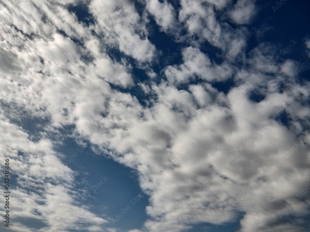 Obraz premium 東京のそら(23.2.20)