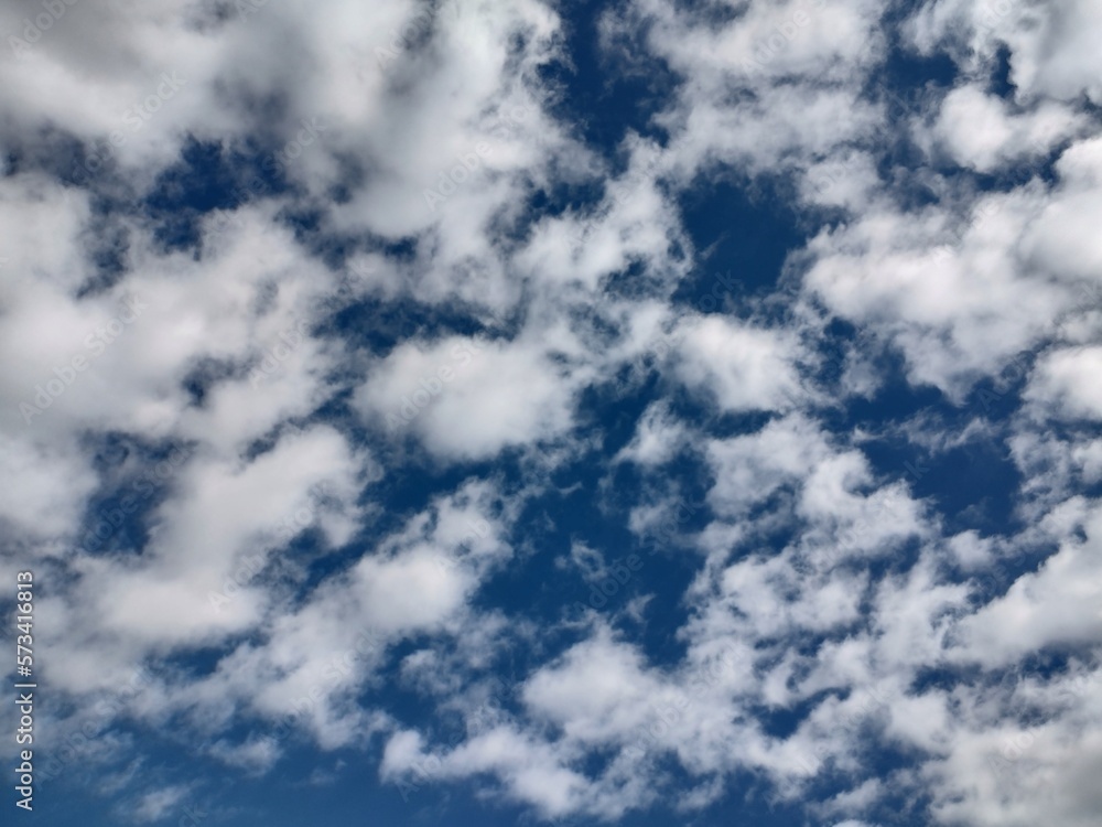 Obraz premium 東京のそら(23.2.20)