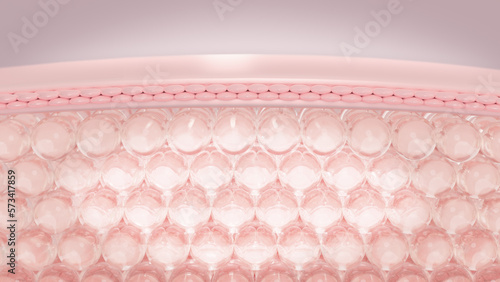3D rendering layers of the skin's microstructure. the conception of cosmetics.