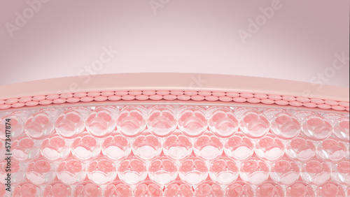 Fototapeta Naklejka Na Ścianę i Meble -  3D rendering Layer of skin structure microstructure. Skin cell sagging is reduced by serum through the skin.
