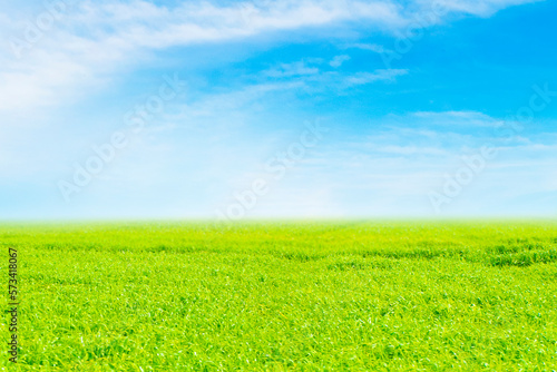 青空と草原 © Nii Koo Nyan