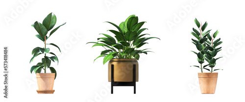 decorative flowers and plants for the interior, isolated on white background, 3D illustration, cg render