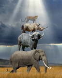 Fours africans animal on top of each other elephant, buffalo, rhino and leopard in savannah on sun ray background