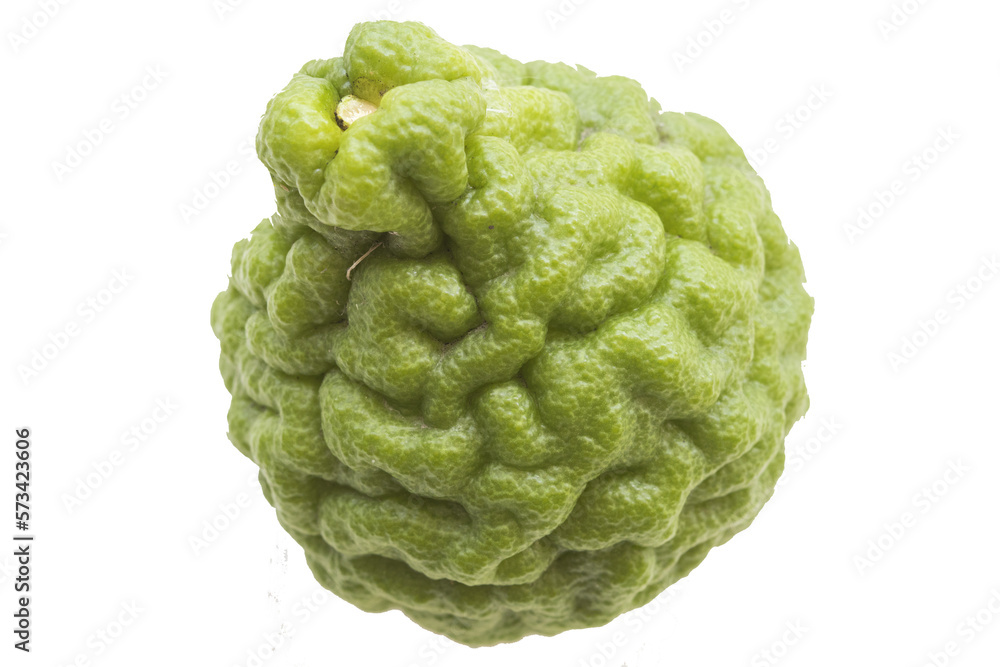 kaffir lime herbal vegetation local flora of asia arrangement flat lay style kaffir lime herbal vegetation local flora of asia arrangement flat lay style