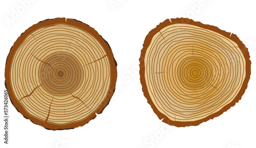 Fototapeta Naklejka Na Ścianę i Meble -  tree trunk annual rings or wooden texture vintage isolated - 3d illustration