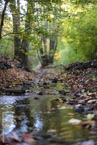 Herbst Tag