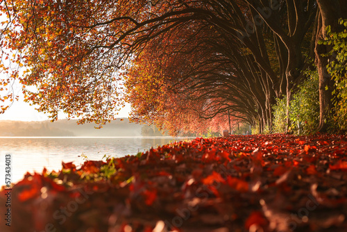 Herbst Traum 