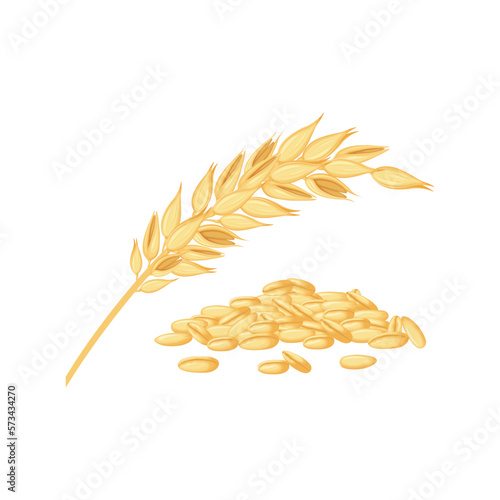 Oats and oat flakes. An ear of oats and scattered grains. Cereal plants. Healthy vegetarian food. Vector illustration isolated on a white background