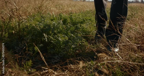 Wallpaper Mural Shot of young mans legs, wearing dress shoes and a suit walking on the farm field in late autumn, clear blue sky, trees in the distance. Torontodigital.ca