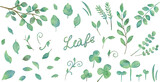  緑の葉っぱの水彩画イラストパーツ セット