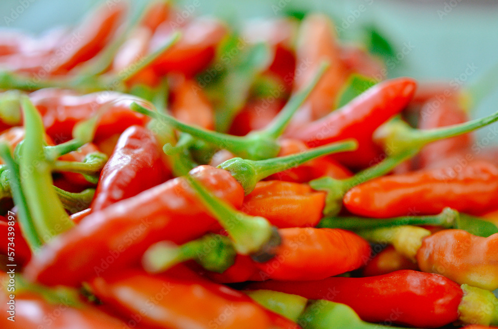 Thai red chili Thai red chili