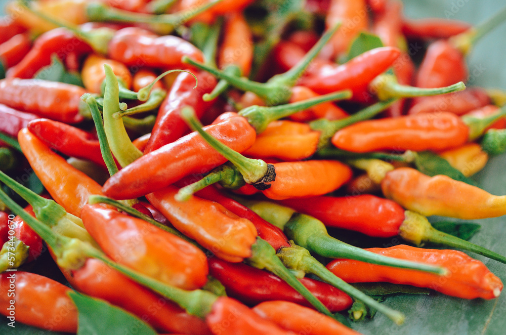 Thai red chili