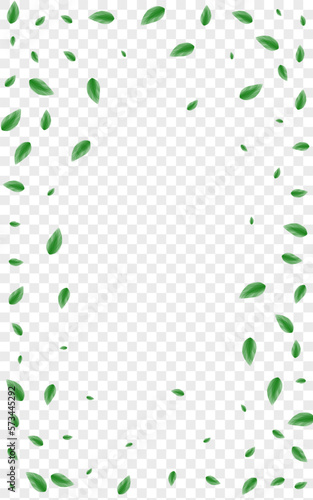 Greenish Greenery Background Transparent Vector. Leaf Bio Design. Fresh Card. Light Green Blend Illustration. Plant Rustic.