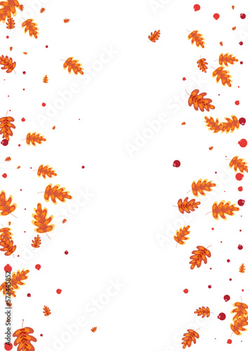 Red Leaf Background White Vector. Plant Seamless Texture. Brown Leaves. School Illustration. Green Oak Image. © Vlada Balabushka