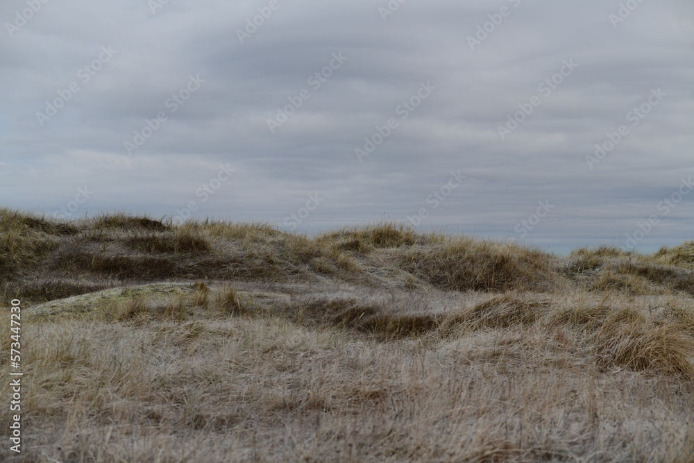 sand dunes on the beach in winter