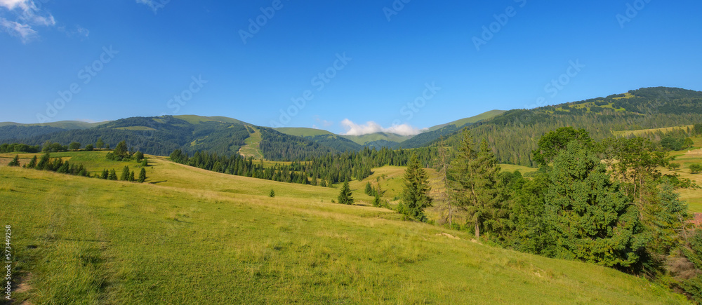 countryside scenery with meadow in mountains. wide rolling rural landscape with green fields and forested hills on a summer morning