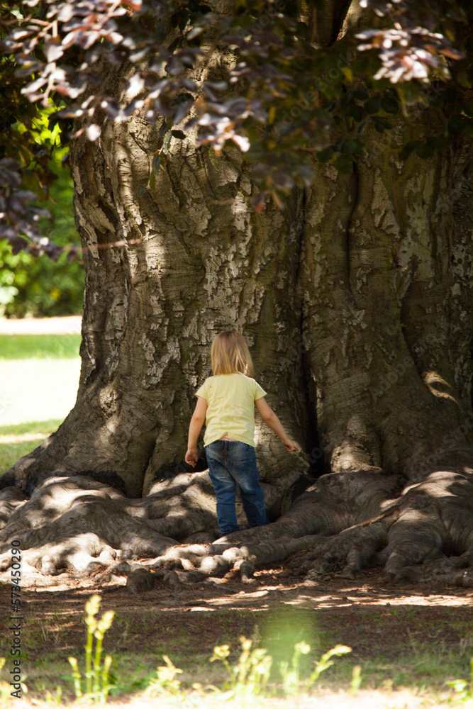 Kind spielt unter einem Baumriesen