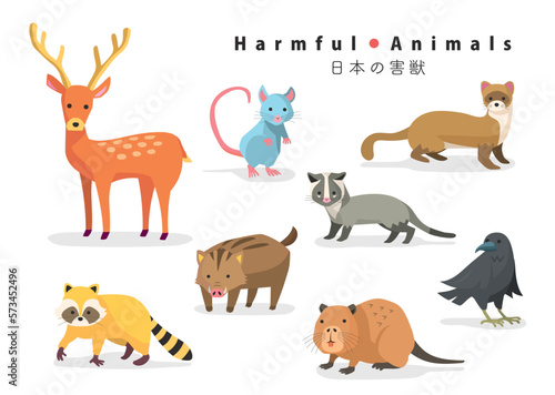 日本の害獣SET