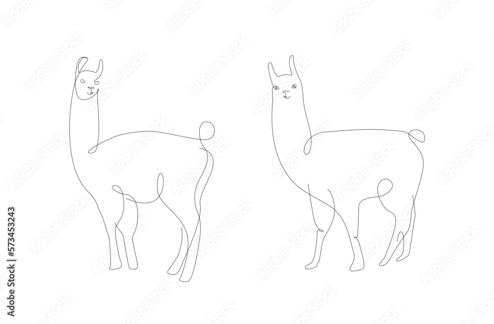 Alpaca one line illustration. Lama line art vector. Peru animals Alpaca one line illustration. Lama line art vector. Peru animals