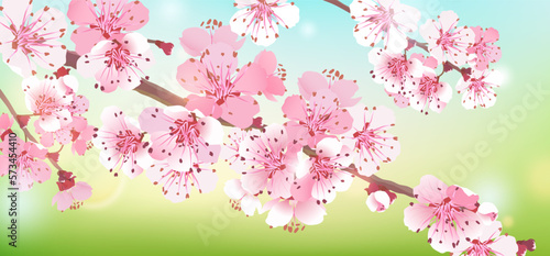 Realistic branch of pink Sakura on a blue-green background. Cherry blossom is a symbol of love, spring. Vector illustration for wedding invitations, background. Design for Wallpaper, flower. Bokeh and