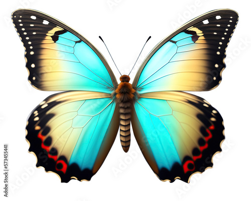 Very beautiful light blue yellow butterfly with spread wings isolated on a transparent background.