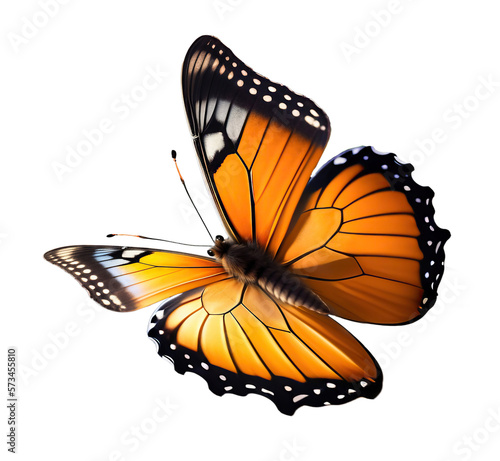 Very beautiful yellow orange butterfly in flight isolated on a transparent background.