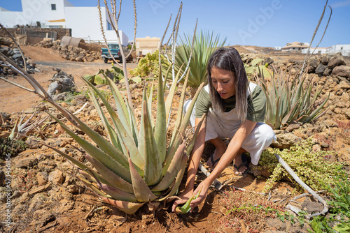 Young woman picking aloe vera crouching in garden photo