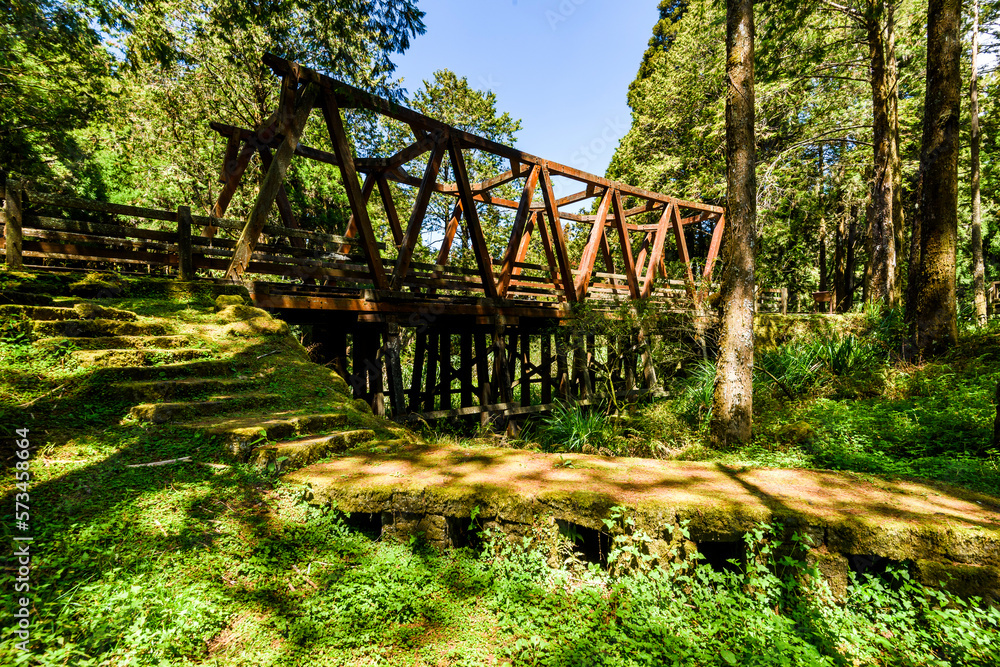 The old forest railway section of the Shuishan Trail at Alishan Forest Recreation Area in Chiayi, Taiwan. Now obsolete and unable to operate. The old forest railway section of the Shuishan Trail at Alishan Forest Recreation Area in Chiayi, Taiwan. Now obsolete and unable to operate.
