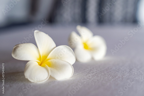 Frangipani flower or Lan Thom in Thailand name, is on the white king bedroom at hotel with morning light from outside room.