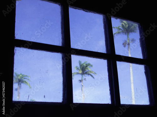 View of palm trees and sky from glass window, Vitoria, Espirito Santo, Brazil. photo
