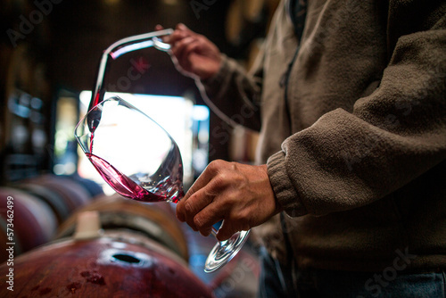 Winemakers working in Carruth Winery in San Diego, CA. photo
