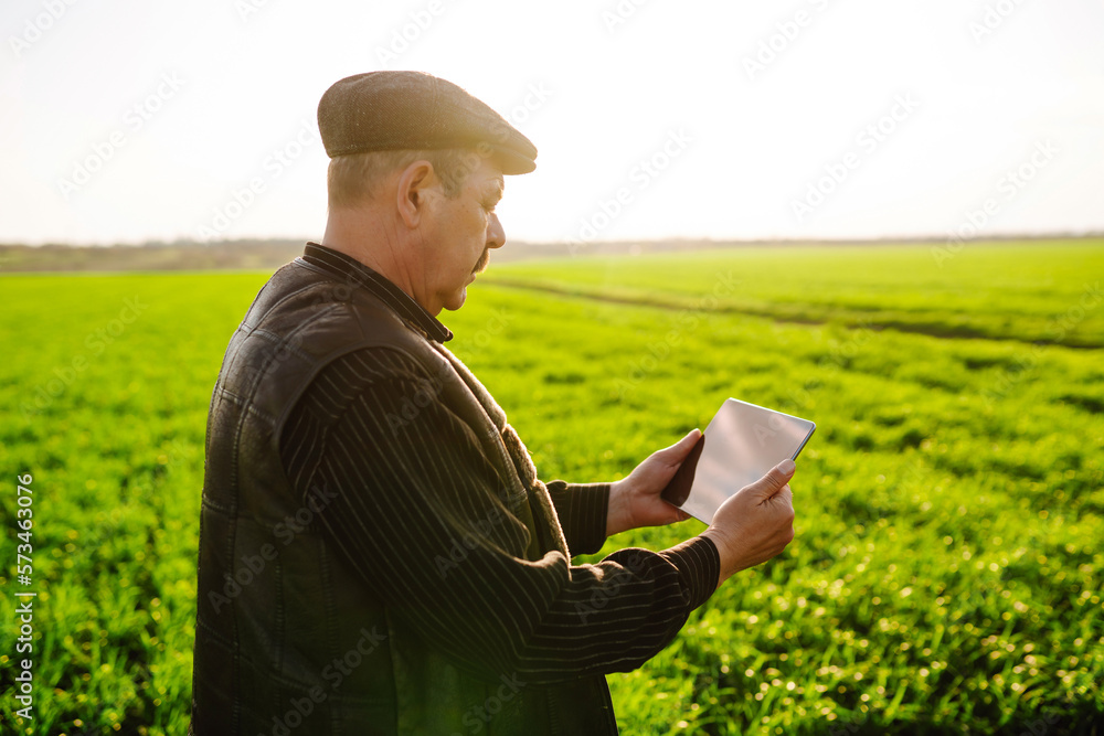 Tablet in the hands of a farmer. Smart farm. Agriculture, gardening or ecology concept. Tablet in the hands of a farmer. Smart farm. Agriculture, gardening or ecology concept.
