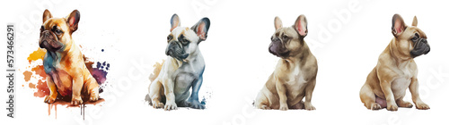 French bulldog on a white background. Handsome cute dog. French bulldog watercolor set. Ideal for postcard, book, poster, banner. Vector illustration