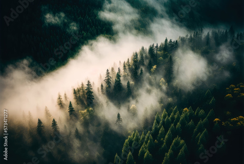 Fog in forest aerial view. Generative AI